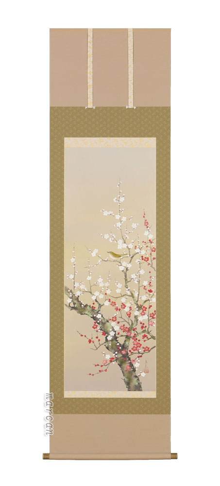 掛け軸／掛軸 梅に鶯（堀 高泉） 【送料無料】【代引手数料無料】