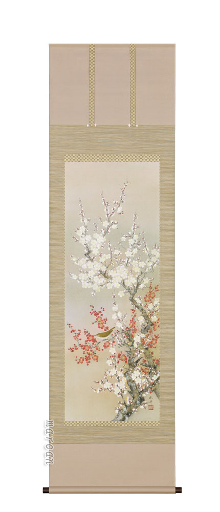 掛け軸／掛軸 紅白梅鶯（河津武禅） 【送料無料】【代引手数料無料】
