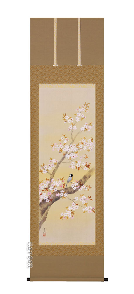 掛け軸／掛軸 桜に小禽（堀 高泉） 【送料無料】【代引手数料無料】