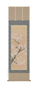 掛け軸／掛軸　桜に小鳥（浅井　新明）<br>【送料無料】【代引手数料無料】