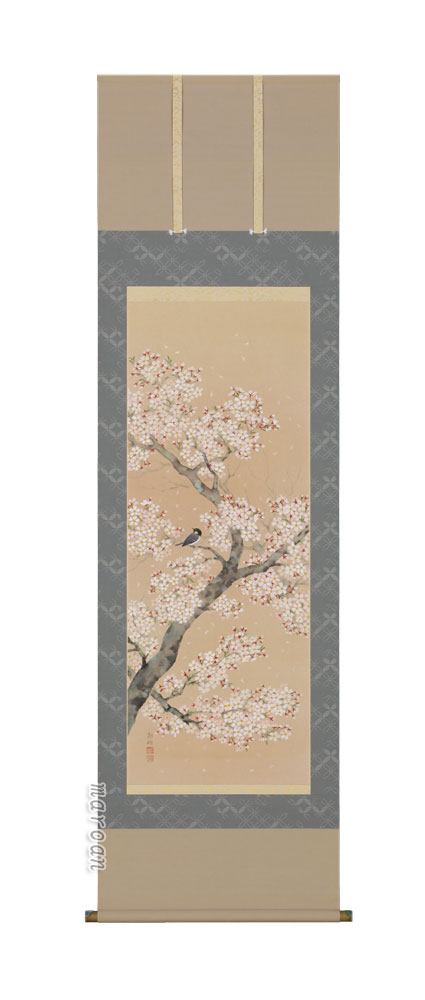 掛け軸／掛軸 桜に小鳥（浅井 新明） 【送料無料】【代引手数料無料】