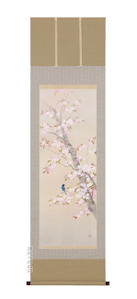 掛け軸／掛軸 桜に小鳥（川島正行） 【送料無料】【代引手数料無料】