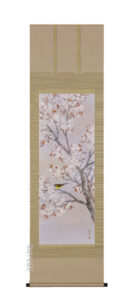 掛け軸／掛軸　桜（河津武禅）（太巻桐箱入）<br>【送料無料】【代引手数料無料】