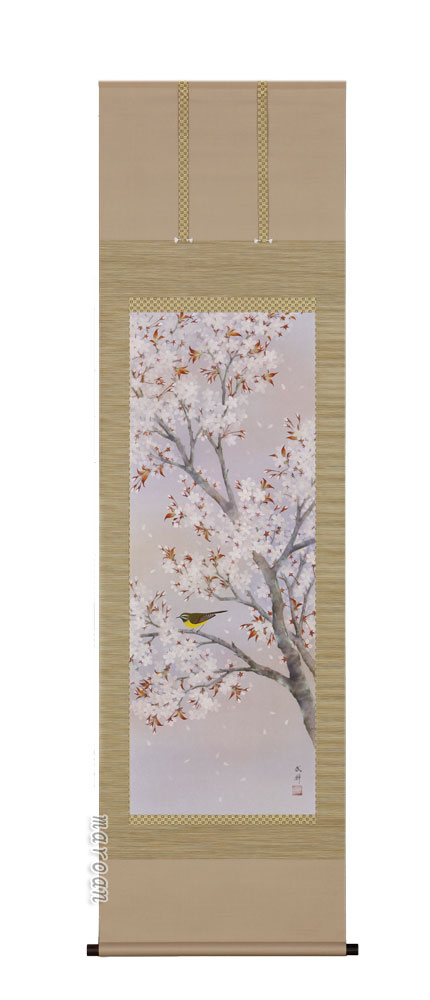 掛け軸／掛軸 桜（河津武禅）（太巻桐箱入） 【送料無料】【代引手数料無料】