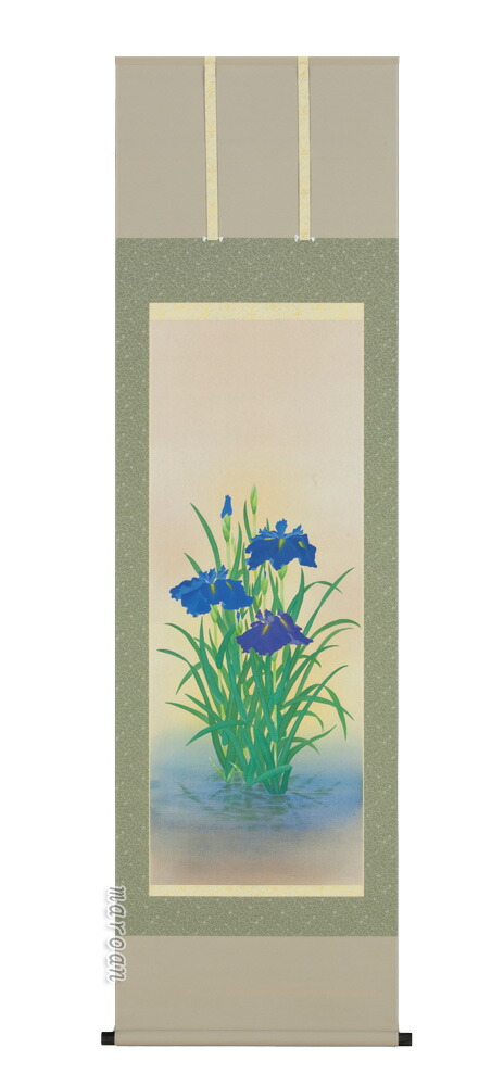 掛け軸／掛軸 菖蒲（浅井 新明） 【送料無料】【代引手数料無料】