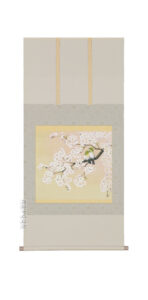 掛け軸／掛軸　桜花（井上清冶）（太巻桐箱入）<br>【送料無料】【代引手数料無料】