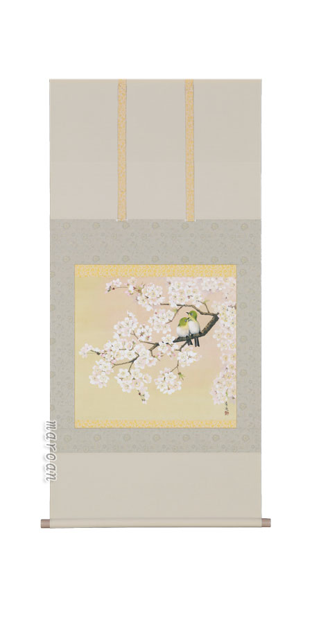 掛け軸／掛軸 桜花（井上清冶）（太巻桐箱入） 【送料無料】【代引手数料無料】