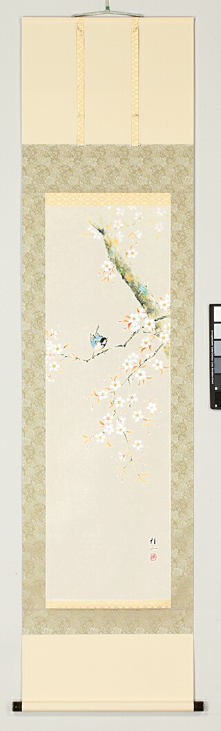 掛け軸 桜に小禽(佐藤 桂三) 春 国花 侘び寂び 御祝 合格祝 入学祝 就職祝【送料無料】【代引手数料無料】