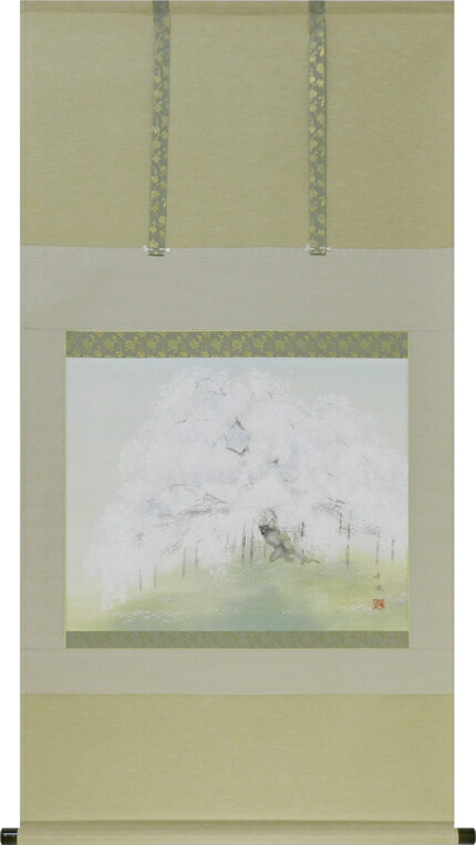 掛け軸 桜（出口華凰） 春 国花 侘び寂び 御祝 合格祝 入学祝 就職祝【送料無料】【代引き手数料無料】