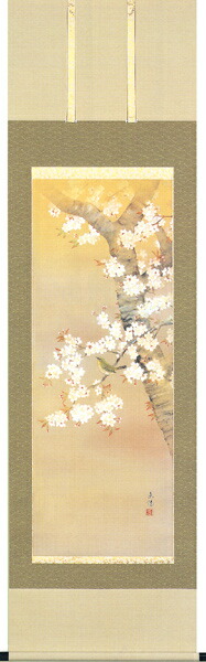 掛け軸 掛軸 桜に小禽(河村 東陽) 春 国花 侘び寂び 御祝 合格祝 入学祝 就職祝【送料無料】【代引き手数料無料】