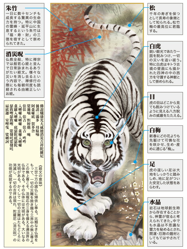 虎・龍 掛軸／かけじく【厄除】消災白虎朱竹之図（加納 悠峰） 商品画像