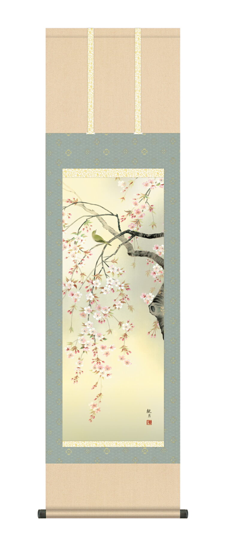掛け軸／掛軸【春】 桜花（森山 観月） 【送料無料】【代引手数料無料】