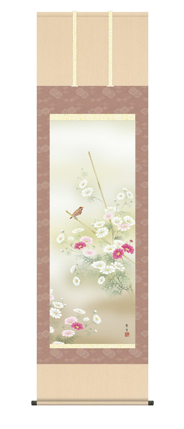 掛け軸／掛軸／かけじく【花鳥画】 秋桜（北山歩生） 送料無料 代引き手数料無料
