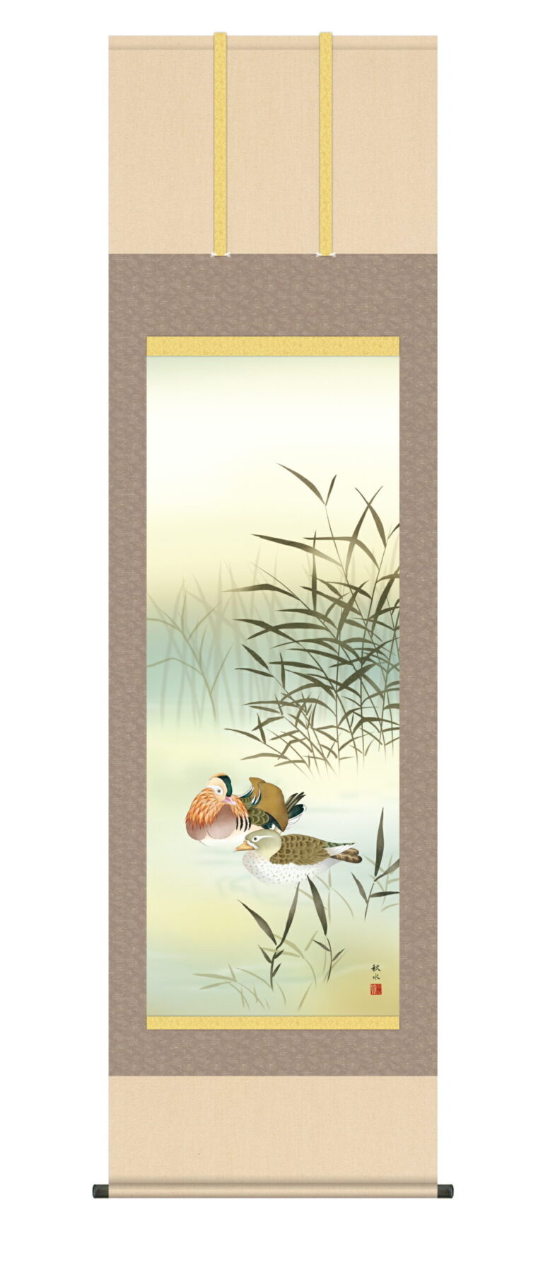 【掛け軸／掛軸／かけじく／花鳥画】 鴛鴦（おしどり）（浮田 秋水） 冬掛け オシドリ【送料無料】【代引き手数料無料】