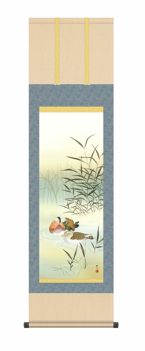 掛け軸 掛軸 かけじく 花鳥画 鴛鴦（浮田 秋水）【尺三】 尺三 高さ164×幅44.5cm 床の間 モダン 和室 掛物 おしどり 夫婦円満【送料無料】【代引き手数料無料】