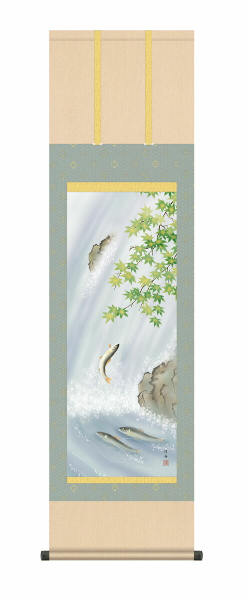 掛け軸 (掛軸)【尺三幅】 楓に鮎(長江桂舟) 夏 あゆ 楓 【送料無料】【代引手数料無料】