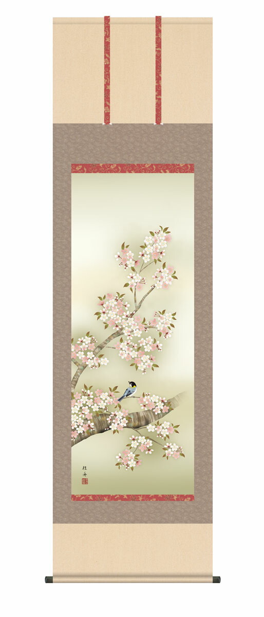 掛け軸 掛軸 かけじく【花鳥画】 桜花に小鳥（長江 桂舟） 尺五 高さ190×幅54.5cm 春掛け 春飾り 桜 鳥 床の間 モダン 和室 掛物 【送料無料】【代引き手数料無料】