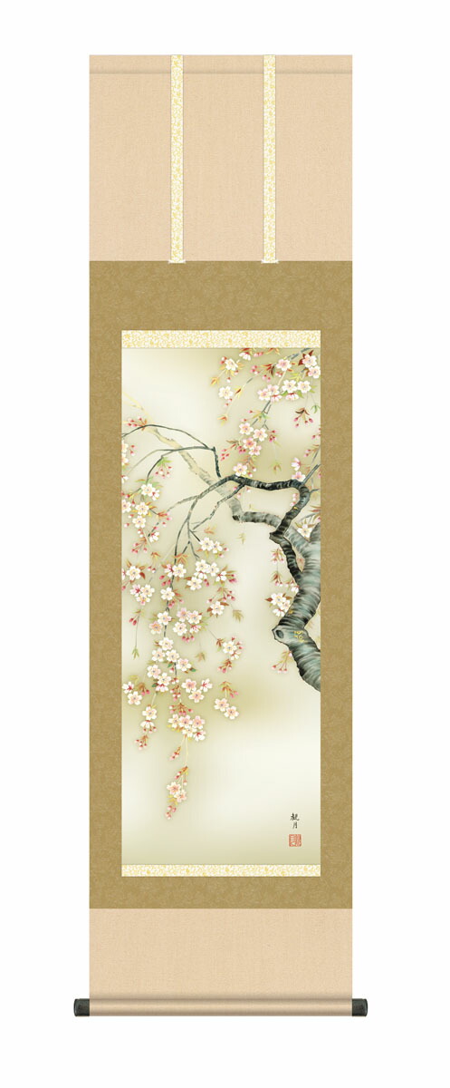 掛け軸／掛軸【春の花鳥画】 【尺三】桜花爛漫（森山 観月） 春掛け 春飾り 桜 鳥 床の間 和室 モダン 花鳥画 【送料無料】【代引手数料無料】