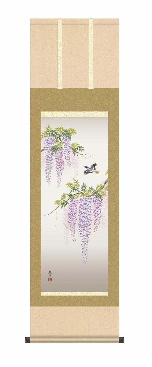 掛け軸／掛軸【春の花鳥画】 【尺三】藤花に小鳥（森山 観月） 春掛け 春飾り 藤 藤花 藤色 床の間 和室 モダン 掛物 贈り物 花鳥画 【送料無料】【代引手数料無料】