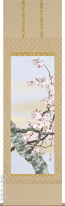期間限定 厳選お買い得掛け軸 掛け軸／掛軸 桜に小禽（神田 有記） 【送料無料】【代引手数料無料】