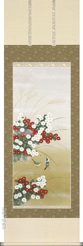 掛け軸／掛軸　小菊（窪田　正廣）<br>【送料無料】【代引き手数料無料】