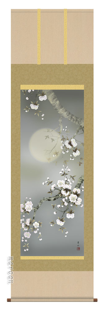 【掛け軸／掛軸／花鳥画】 夜桜（緒方 葉水） 【送料無料】【代引き手数料無料】