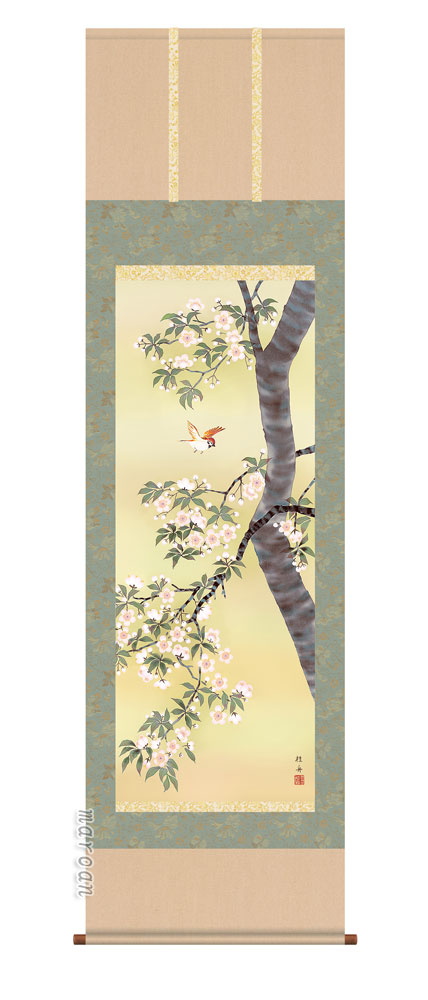 掛け軸／掛軸／かけじく【花鳥画】 桜花（長江 桂舟） 【送料無料】【代引き手数料無料】