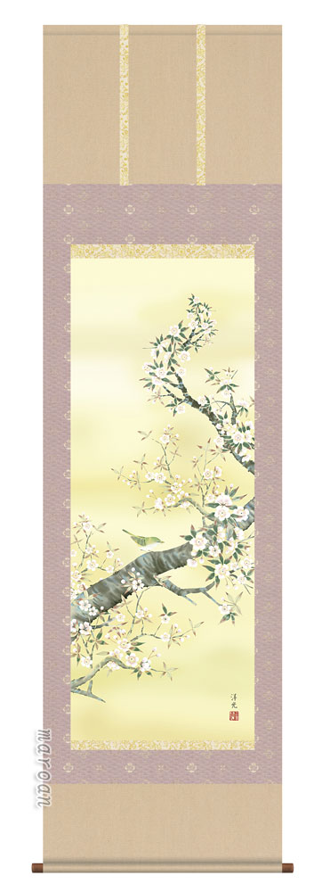 掛け軸／掛軸／かけじく【花鳥画】 桜花（井川 洋光） 【送料無料】【代引き手数料無料】