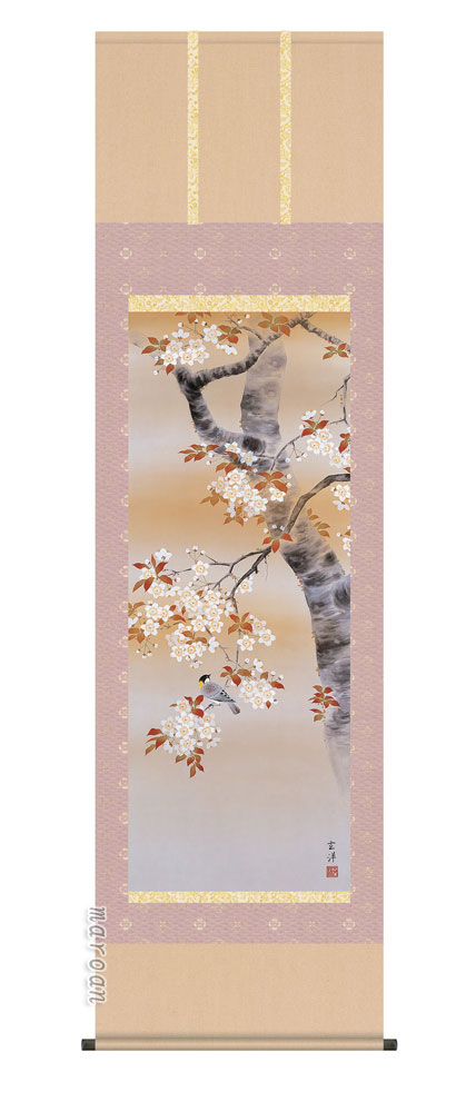 掛け軸／掛軸【四季揃・春】<br>四季花鳥・桜花に小鳥（近藤　玄洋）<br>【送料無料】【代引手数料無料】