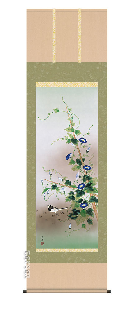 掛け軸／掛軸【四季揃・夏】<br>四季花鳥・朝顔に鶺鴒（近藤　玄洋）<br>【送料無料】【代引き手数料無料】