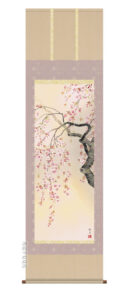 掛け軸／掛軸【春】<br>桜花爛漫（森山　観月）<br>【送料無料】【代引手数料無料】