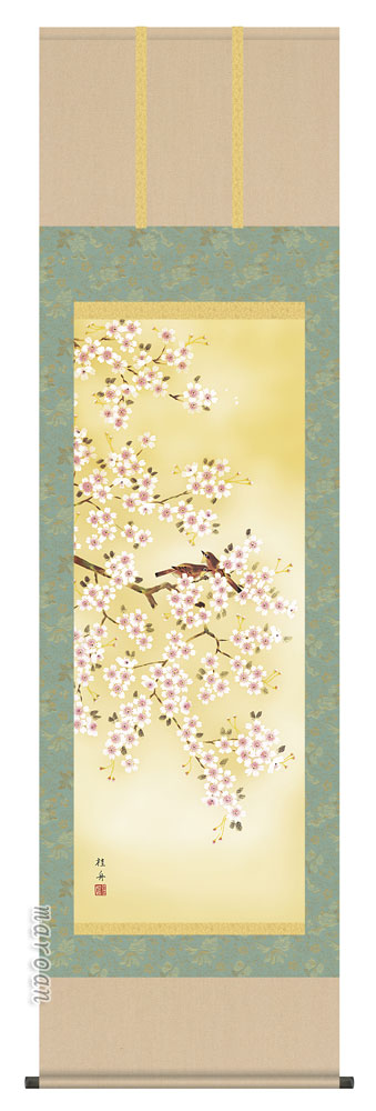 掛け軸／掛軸【四季揃・春】 四季花鳥・桜花（長江 桂舟） 【送料無料】【代引手数料無料】