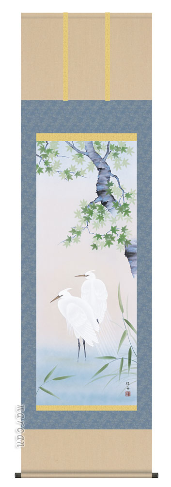 掛け軸／掛軸【四季揃・夏】 四季花鳥・楓に白鷺（長江 桂舟） 【送料無料】【代引手数料無料】