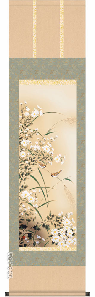 掛け軸 掛軸 かけじく 花鳥画 菊花に雀（緒方 葉水）【尺三】 【送料無料】【代引き手数料無料】