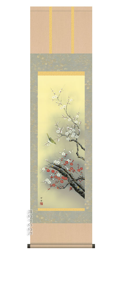 掛け軸 掛軸 春 紅白梅に鶯（田村 竹世）【尺三】 【送料無料】【代引手数料無料】